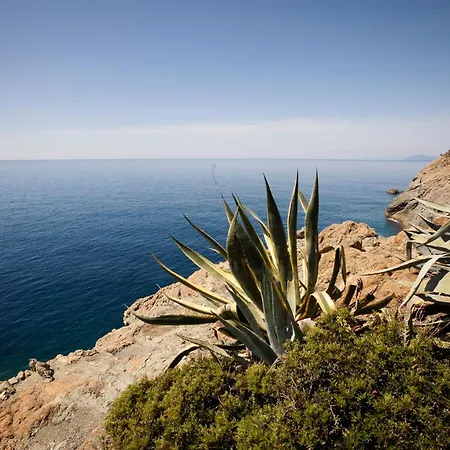 Dependance Del Paradiso